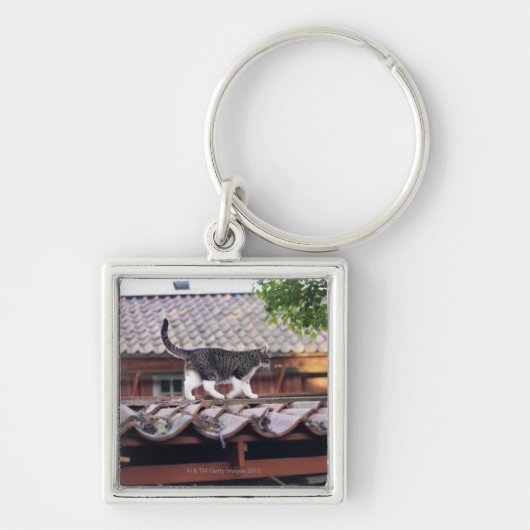 小屋の屋根の猫歩く キーホルダー (正面)