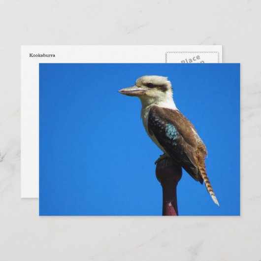 小岡原 ポストカード (正面/裏面)