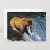 小川のアラスカのヒグマの伝染性のサケ ポストカード (正面/裏面)