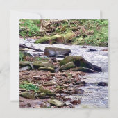 小川の上で 招待状 (裏面)