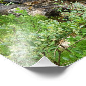 小川の写真 フォトプリント            (角)