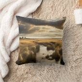 小川の少ない湿地の穏やかな風景 クッション (ブランケット)