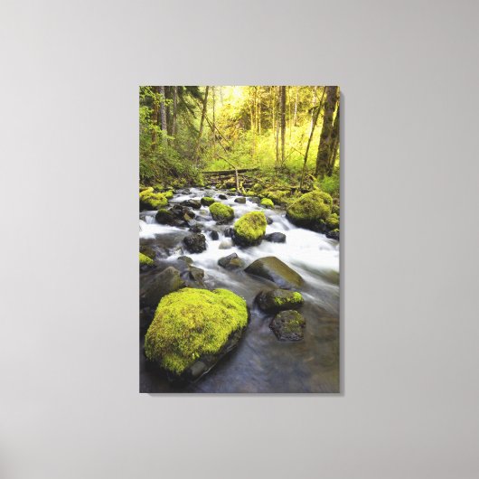 小川の岩に覆われた苔で流れる水 キャンバスプリント (正面)