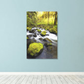 小川の岩に覆われた苔で流れる水 キャンバスプリント (インサイチュ (ウッドフロア))
