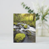 小川の岩に覆われた苔で流れる水 ポストカード (スタンド正面)