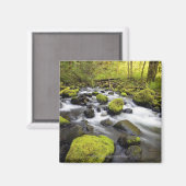 小川の岩に覆われた苔で流れる水 マグネット (正面/裏面)