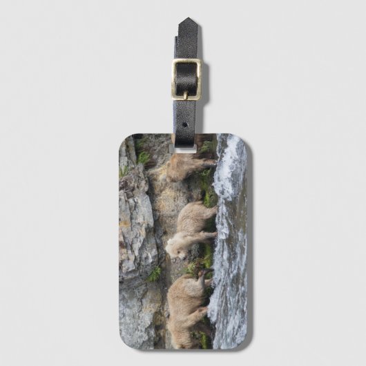 小川の滝の128 Grazerのカブス-荷物のラベル2 ラゲッジタグ (正面縦)