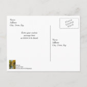 小川の秋の反射 縦 感謝 ポストカード (裏面)