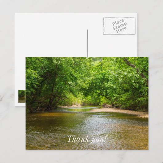 小川を遡る ポストカード (正面/裏面)