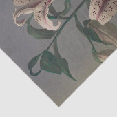 小川一真作の「リリー」 薄葉紙 (詳細)