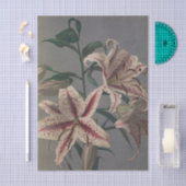 小川一真作の「リリー」 薄葉紙 (クラフト)