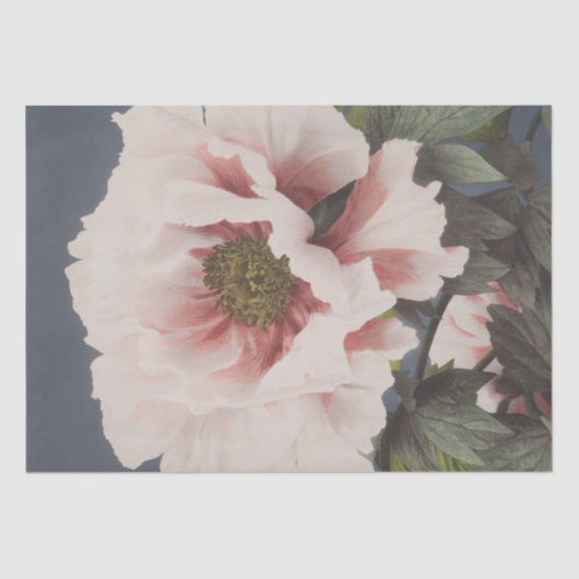 小川員昌 |美しいフォトメカニカルプリント 薄葉紙 (正面)