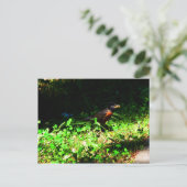 小当たり葉書 ポストカード (スタンド正面)