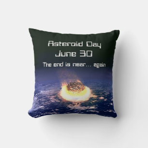 小惑星デー6月30日 クッション