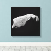 小惑星243アイダ キャンバスプリント (インサイチュ (ウッドフロア))