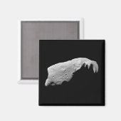 小惑星243アイダ マグネット (正面/裏面)