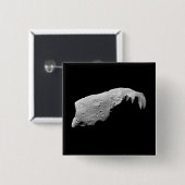 小惑星243アイダ 缶バッジ (正面&裏面)