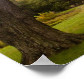 小感動的さな白い教会のポスター ポスター (角)