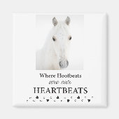 小手内磁石 マグネット (正面)