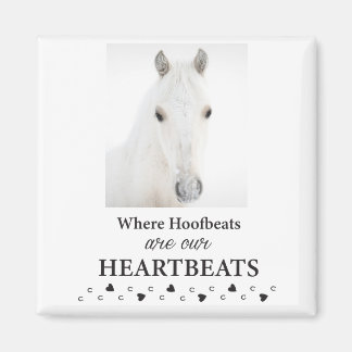 小手内磁石 マグネット