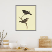 小木フィンチ ポスター (キッチン)