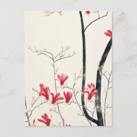 小林康慶 – Magnolia Tree ポストカード (正面)