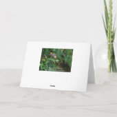 小枝でトンボを飛ばす カード (裏面)