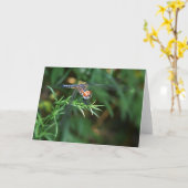 小枝でトンボを飛ばす カード (黄色い花)