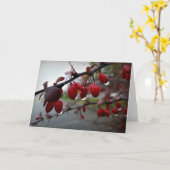 小枝に雨 カード (黄色い花)