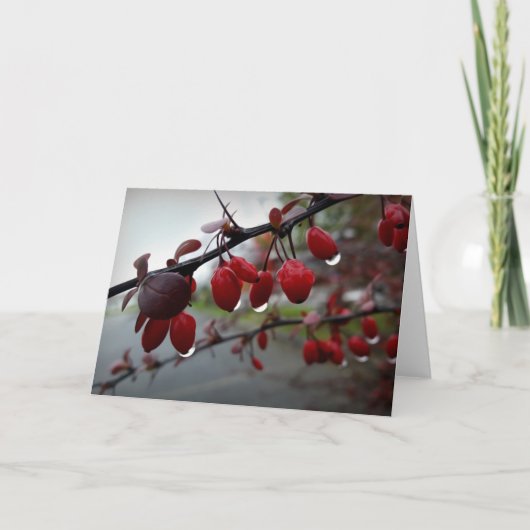 小枝に雨 カード (正面)