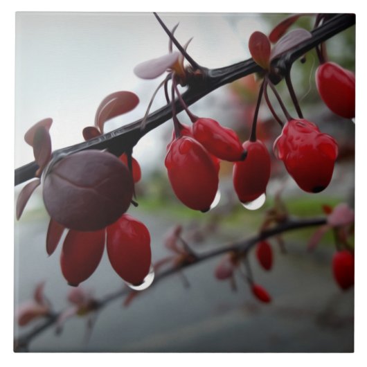 小枝に雨 タイル (正面)
