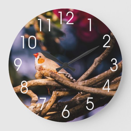 小枝のかわいいキンカチョウ ラージ壁時計 (正面)