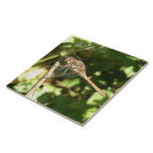 小枝のタイルの上のトンボ タイル (側面)