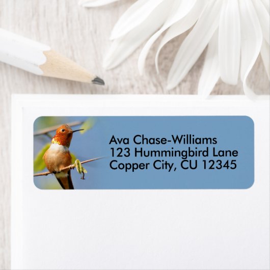 小枝の上の奇妙なウチドリ ラベル (インサイチュ)