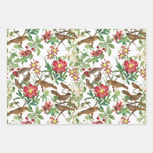 小枝の鳥、果実との組み合わせ済み ラッピングペーパーシート (正面)