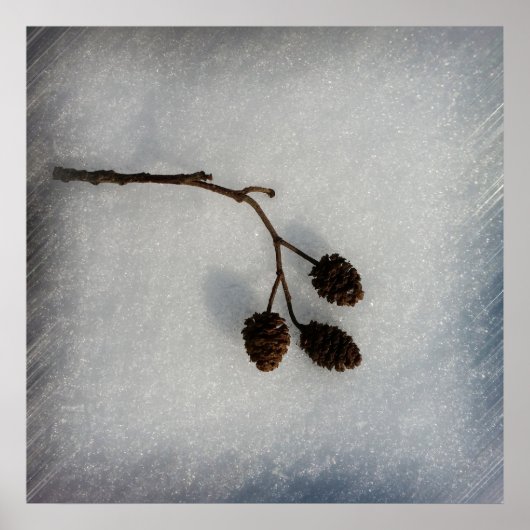 小枝落ちた ポスター (正面)