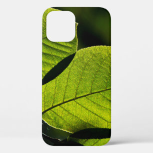 小枝葉緑葉脈 iPhone 12ケース