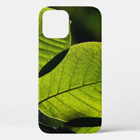 小枝葉緑葉脈 Case-Mate iPhoneケース (裏面)