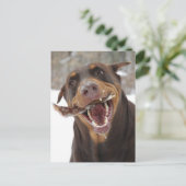 小枝 ポストカード (スタンド正面)