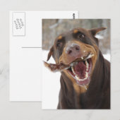 小枝 ポストカード (正面/裏面)