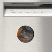 小水差し マグネット (インサイチュ (食洗機))