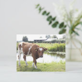 小江 ポストカード (スタンド正面)