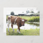 小江 ポストカード (正面/裏面)