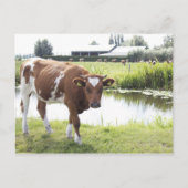 小江 ポストカード (正面)