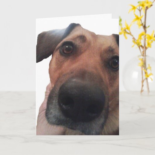 小犬こんにちは カード (黄色い花)