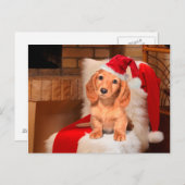 小犬のクリスマス シーズンポストカード (正面/裏面)