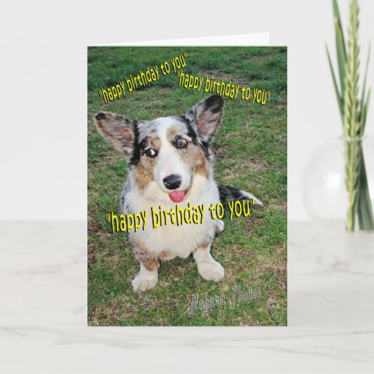 小犬のケーキの夢 カード (正面)