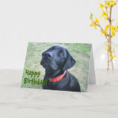 小犬のバースデー・カード! カード (黄色い花)