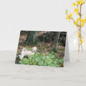 小犬のバースデー・カード カード (黄色い花)