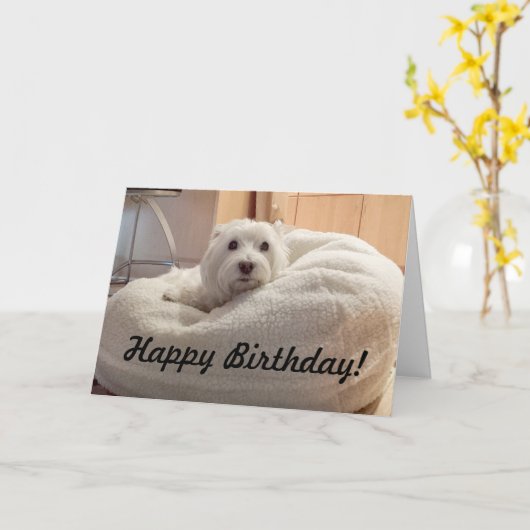 小犬のベッドのハッピーバースデーカードのかわいいWestie カード (黄色い花)